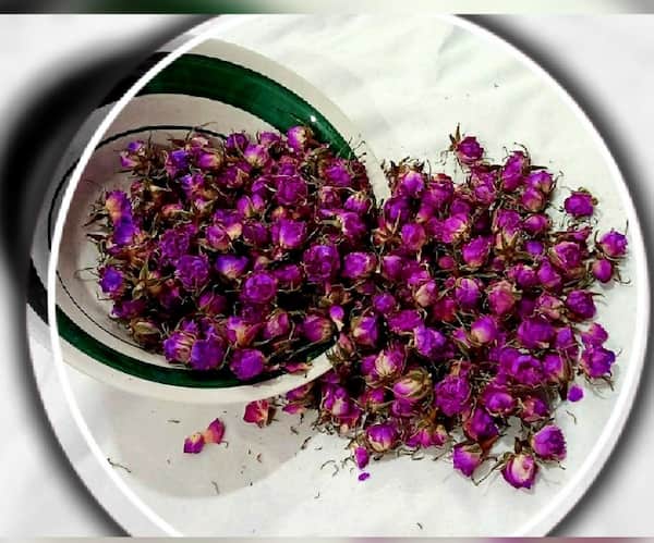 تصویر 3 از خرید و قیمت غنچه گل محمدی خشک شده + فروش عمده